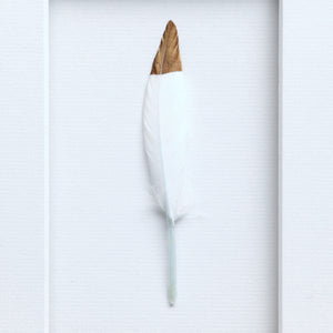 Gold Tipped White Feather in Matte White Frame