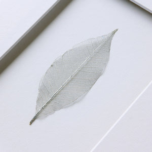 Silver Skeleton Leaf in Antique Silver Leaf Frame