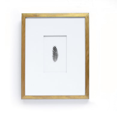 Exotic Guinea Fowl Feather in Antique Gold Leaf Frame